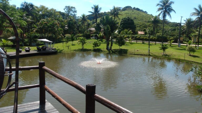 WhatsApp-Image-2026-02-16-at-11.06.46-2